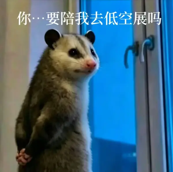 观展登记 | 2026国际低空经济博览会观众预登记开启,解锁低空时代新机遇,附观众免费登记入口 12 640 17